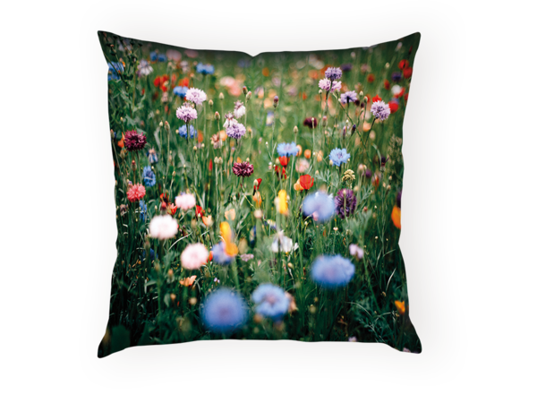 Bunte Wildblumenwiese mit roten, blauen und violetten Blüten in voller Blüte auf einem Kuschelkissen.